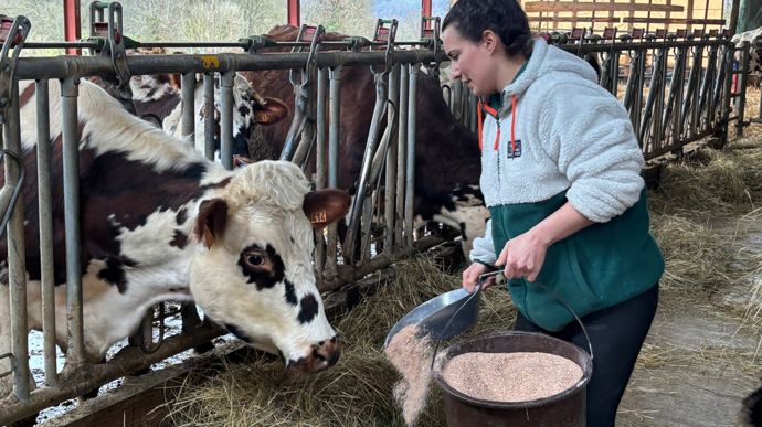 "De multiples opportunités existent pour s'installer en élevage bovin laitier, avec des exploitations de moindre taille, des systèmes plus économes et/ou avec valeur ajoutée (signes de qualité ou circuit court) à condition de bien calculer le coût de reprise", explique Christophe Perrot, chargé de mission économie et territoire à l'Idele.